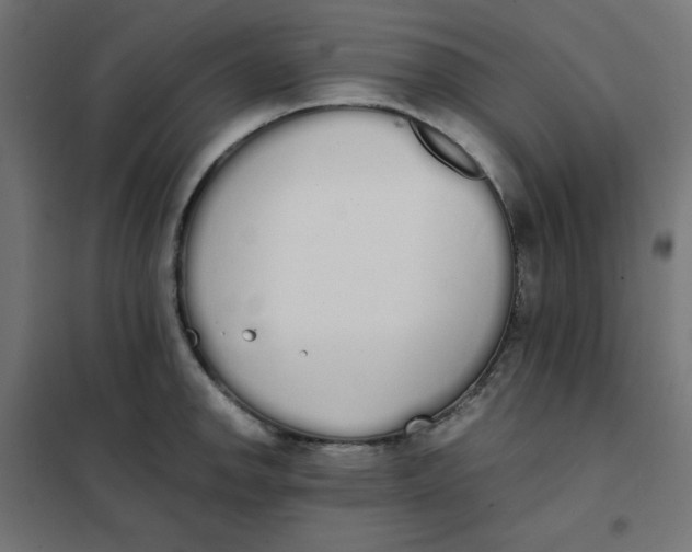 X0000101391142200807280932