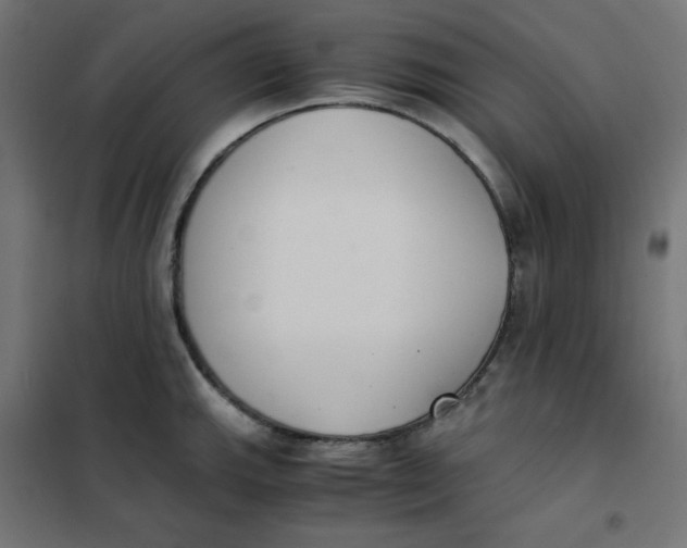 X0000101391143200807280932