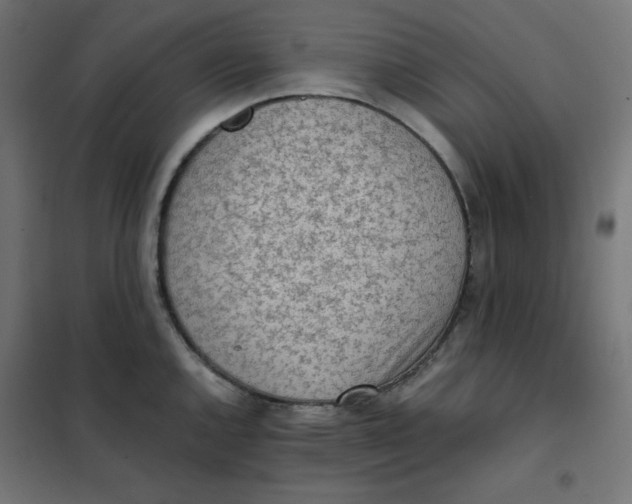 X0000101391144200807280932