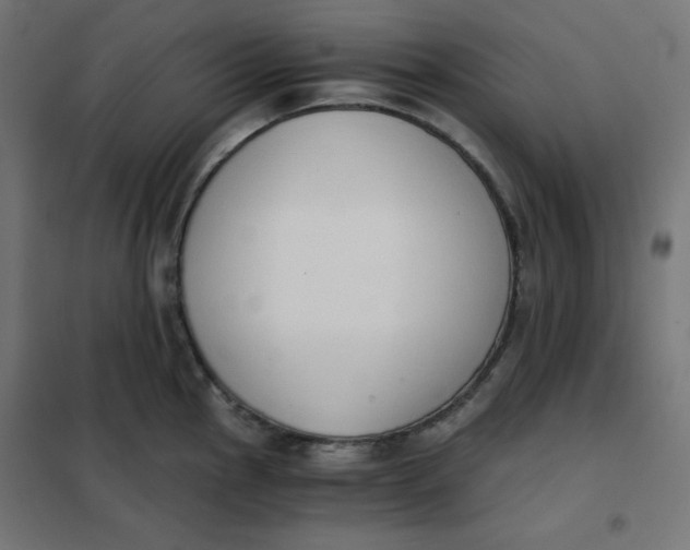 X0000101391145200807280932