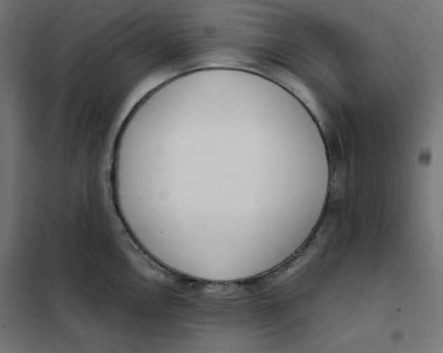 X0000101391146200807280932