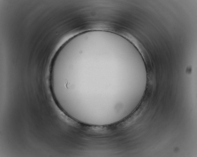 X0000101391147200807280932