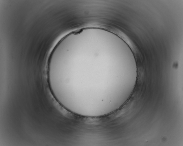 X0000101391148200807280932