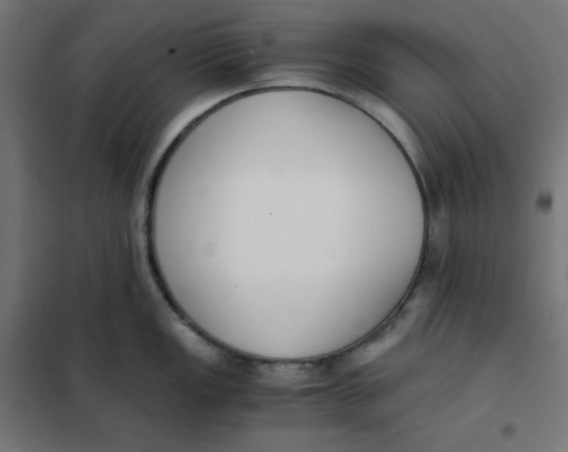 X0000101391149200807280932