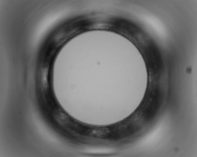 X0000101391150200807280932