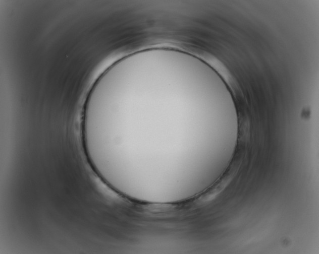 X0000101391151200807280932