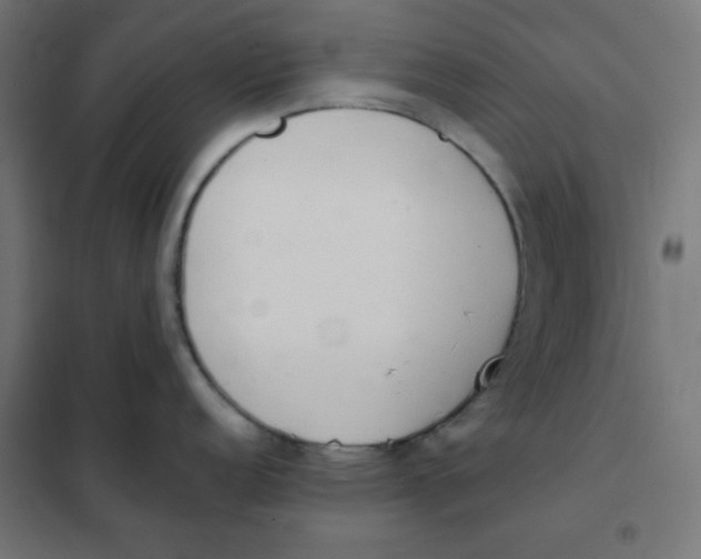 X0000101391152200807280932