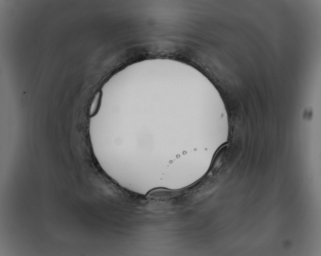 X0000101391153200807280931