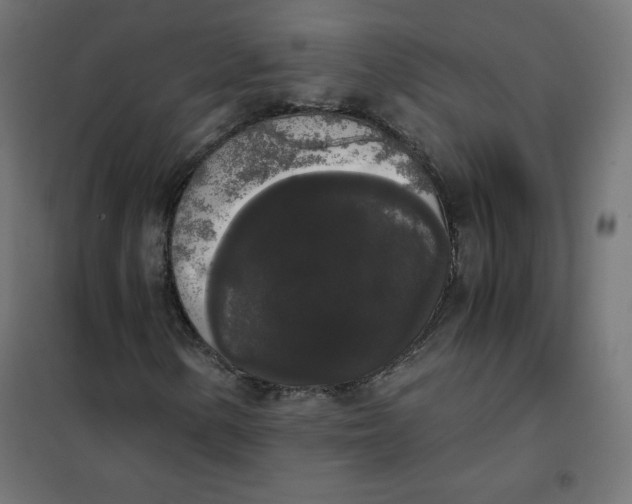 X0000101391154200807280931