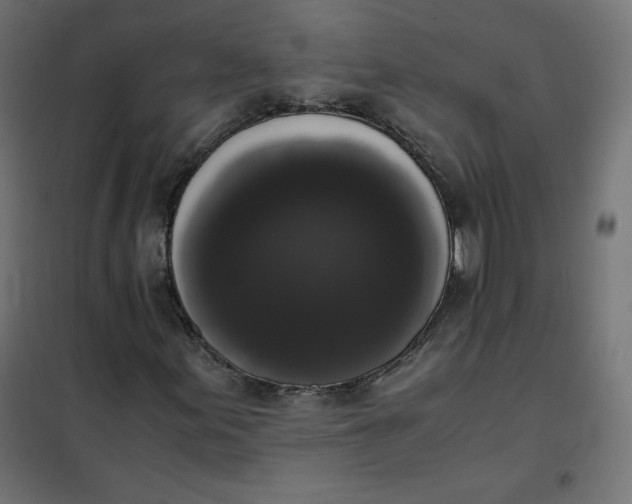 X0000101391155200807280931