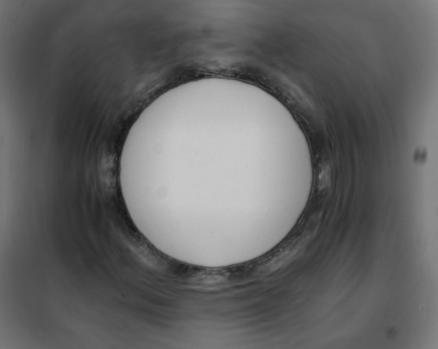 X0000101391156200807280931