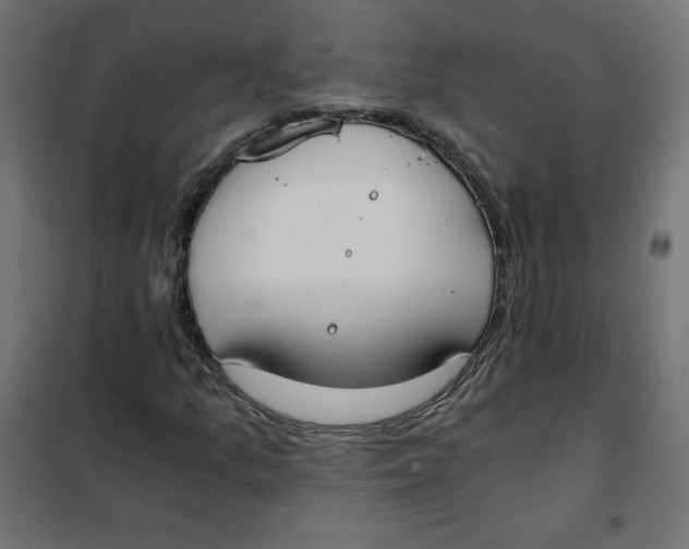 X0000101391157200807280931