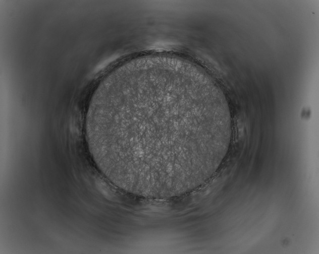 X0000101391158200807280931