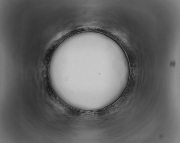 X0000101391159200807280931