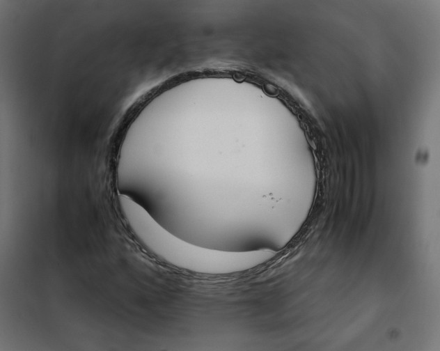 X0000101391160200807280931