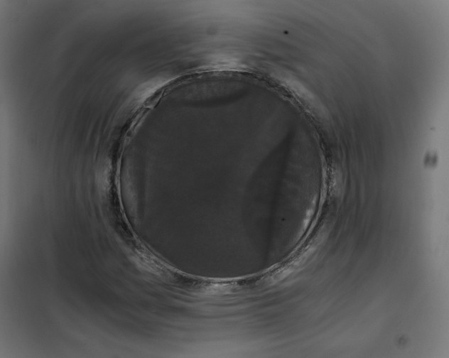 X0000101391161200807280931