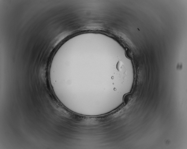 X0000101391162200807280931