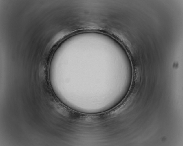 X0000101391163200807280931