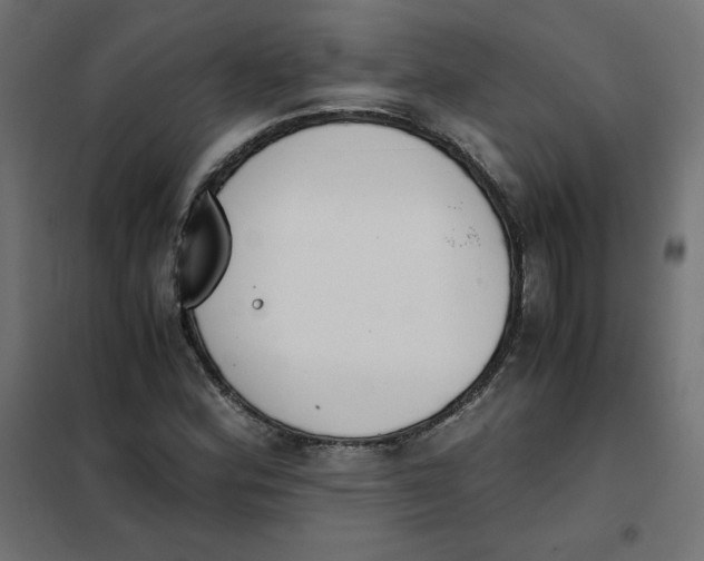 X0000101391164200807280931