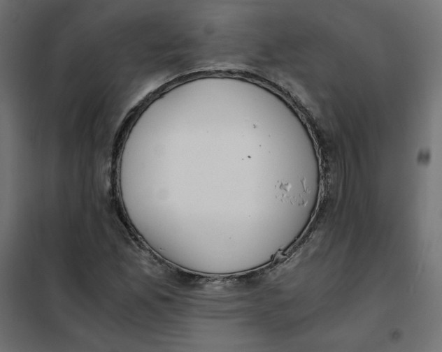 X0000101391165200807280931