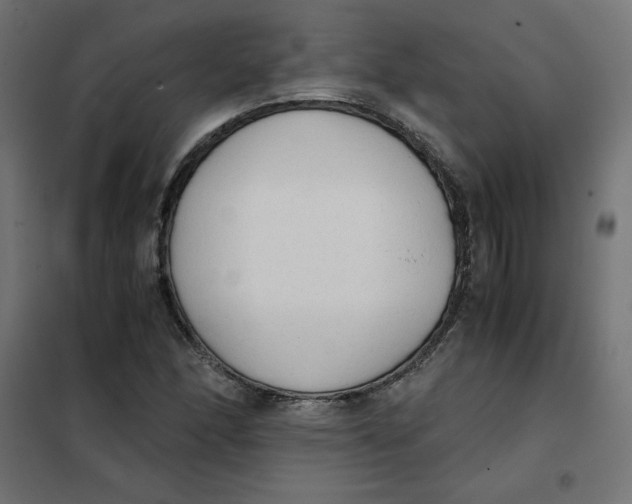 X0000101391166200807280931