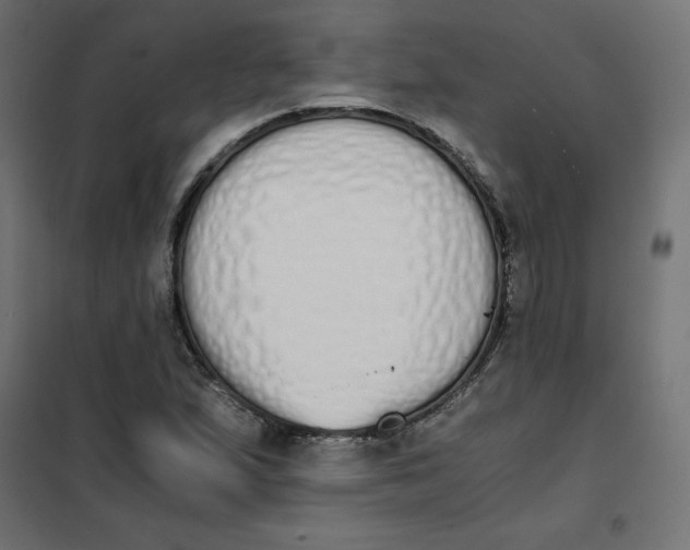 X0000101391167200807280931