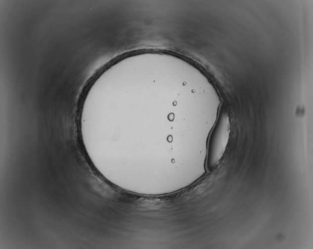 X0000101391168200807280931