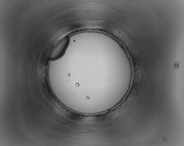 X0000101391169200807280931