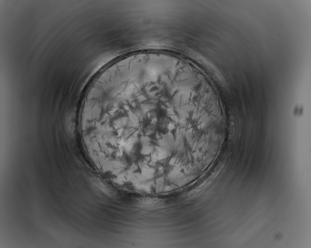 X0000101391170200807280931