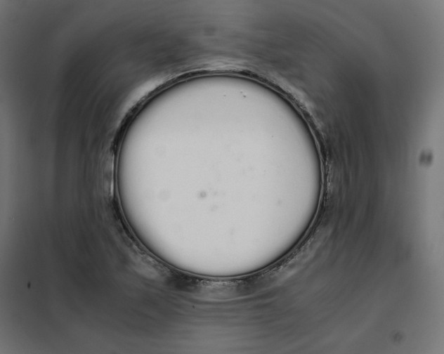 X0000101391171200807280931