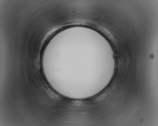 X0000101391172200807280931