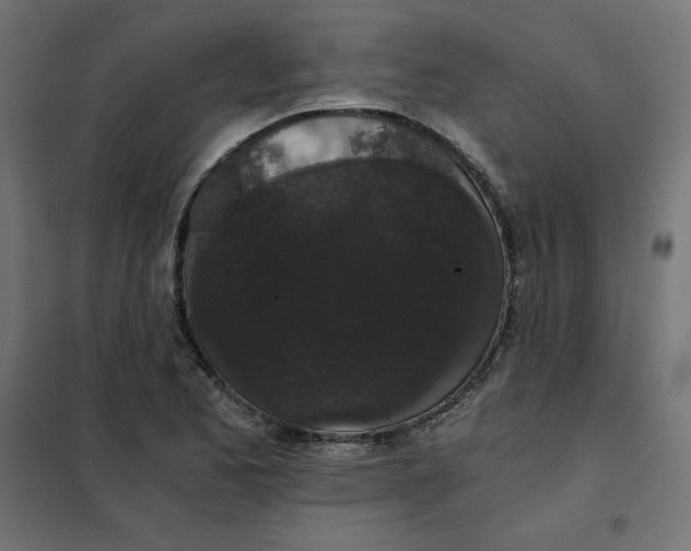 X0000101391173200807280931