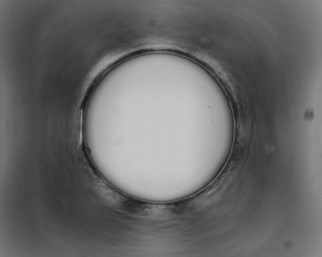 X0000101391175200807280931