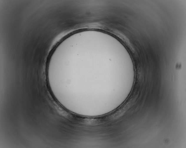 X0000101391176200807280931