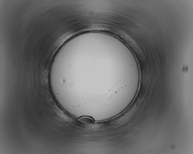 X0000101391177200807280931