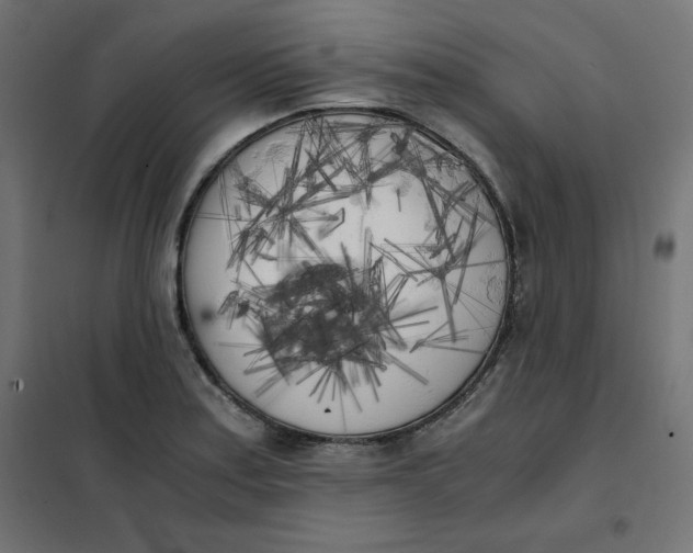 X0000101391179200807280931