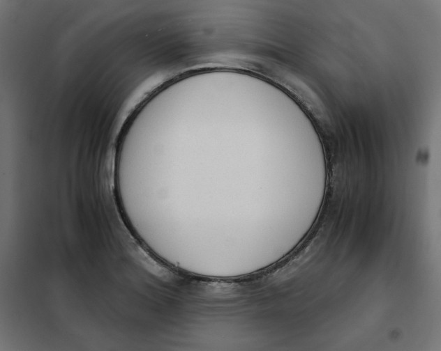 X0000101391180200807280931