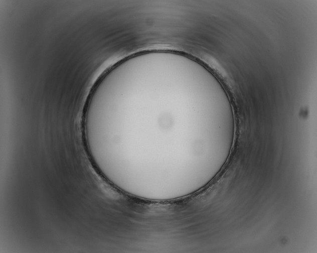 X0000101391181200807280931