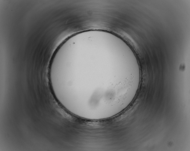 X0000101391182200807280931