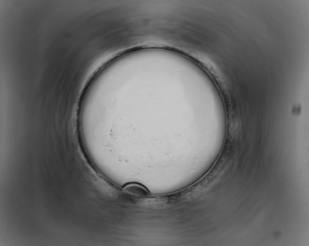 X0000101391183200807280931