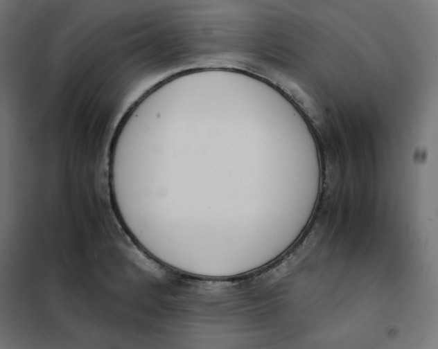 X0000101391184200807280931