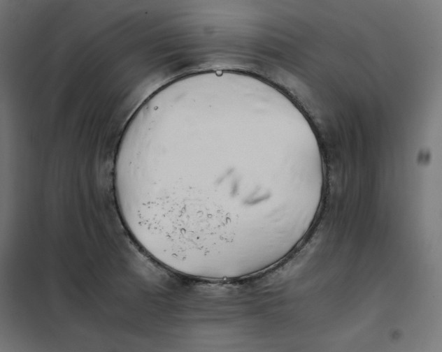 X0000101391185200807280931