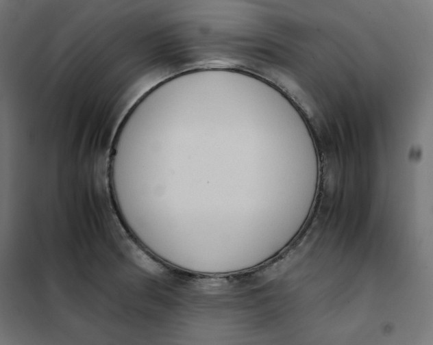 X0000101391186200807280931