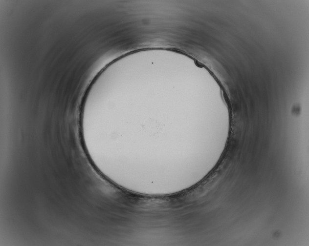 X0000101391187200807280931