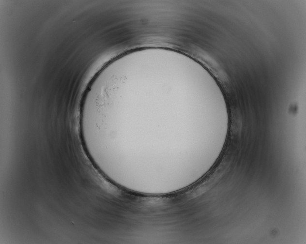 X0000101391188200807280931