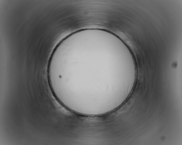 X0000101391189200807280931