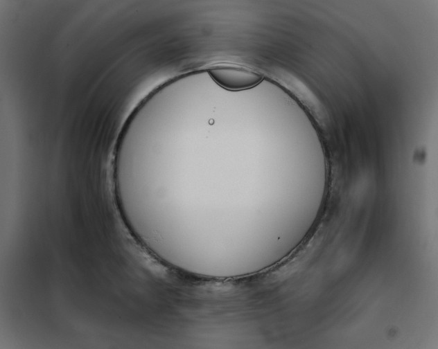 X0000101391190200807280931