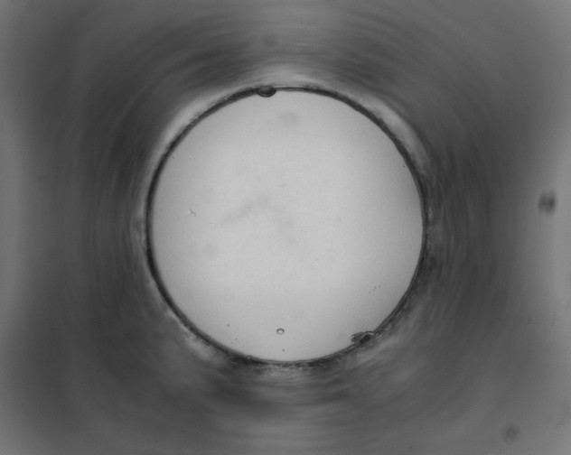 X0000101391191200807280931