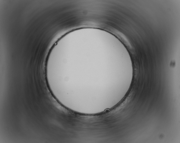 X0000101391192200807280931