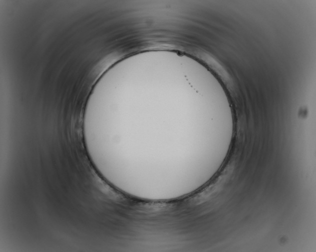 X0000101391193200807280931